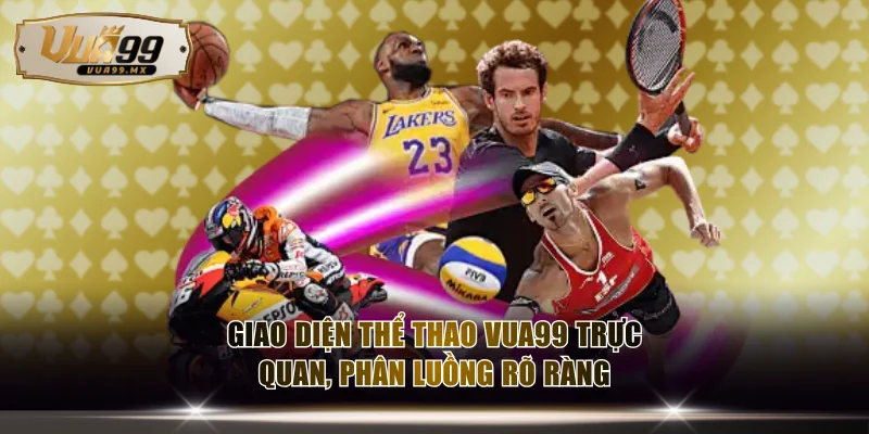 Giao diện thể thao VUA99 trực quan, phân luồng rõ ràng