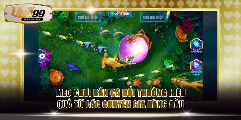 Mẹo chơi bắn cá đổi thưởng hiệu quả từ các chuyên gia hàng đầu